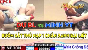 Trận 36 CPC1 02/09/2024 - Gà Anh Dự Bảo Lộc Hạ Đẹp Anh Minh Vũng Tàu