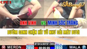 Trận 36 CPC1 30/09/2024 Anh Vinh Đá Xổ Anh Minh Sóc Trăng