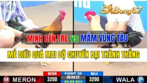 Trận 36 CPC3 28/09/2024 Anh Minh Bến Tre Đá Xổ Anh Mắm Vũng Tàu