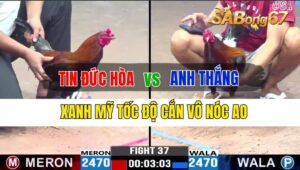 Trận 37 CPC3 24/09/2024 Anh Tin Đức Hòa Đá Xổ Anh Thắng