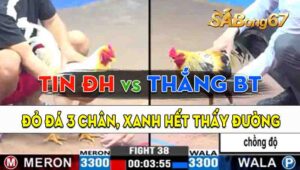 Trận 38 CPC3 14/09/2024 - Anh Tin Đức Hòa Đụng Độ Anh Thắng Bến Tre