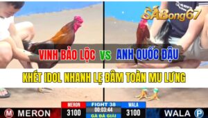 Trận 38 CPC3 28/09/2024 Anh Vinh Bảo Lộc Đá Xổ Anh Quốc Đậu