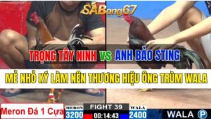 Trận 39 CPC2 29/09/2024 Anh Trọng Tây Ninh Đá Xổ Anh Bảo Sting