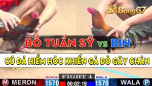 Trận 4 CPC1 02/09/2024 - Gà Anh Bin Đá Cựa Hiểm Hóc Hạ Anh Bồ Tuấn Sỹ