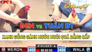 Trận 4 CPC1 07/09/2024 - Gà Anh Tuấn Bến Tre Gồng Gánh Cứu Chủ