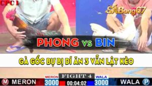 Trận 4 CPC1 14/09/2024 - Gà Anh Bin Lội Ngược Dòng Đẳng Cấp