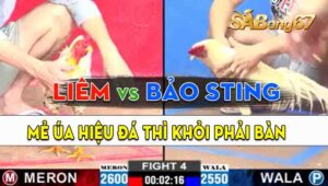 Trận 4 CPC2 11/09/2024 - Chú Liêm Đụng Độ Với Anh Bảo Sting