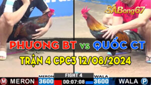 Trận 4 CPC3 01/09/2024 - Gà Anh Phương Bến Tre Đá 3 Chân Có Kết Quả