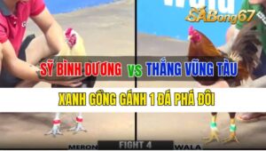 Trận 4 CPC3 25/09/2024 Anh Sỹ Bình Dương Đá Xổ Anh Thắng VT