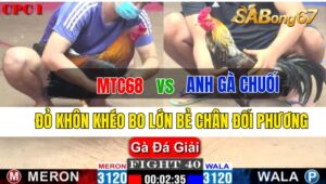 Trận 40 CPC1 26/09/2024 MTC68 Đá Xổ Anh Gà Chuối