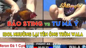 Trận 44 CPC2 18/09/2024 - Anh Bảo Sting Đối Đầu Anh Tư Mã Ý