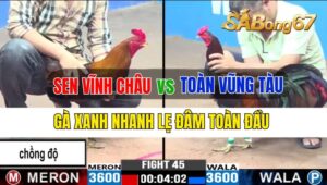 Trận 45 CPC3 28/09/2024 Anh Sen Vĩnh Châu Đá Xổ Anh Toàn Vũng Tàu