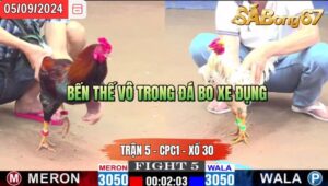 Trận 5 CPC1 05/09/2024 Anh Tuấn Đá Xổ Anh Hào