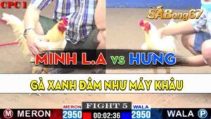 Trận 5 CPC1 17/09/2024 - Gà Anh Hưng Hạ Gà Cọp Anh Minh Long An