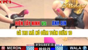 Trận 5 CPC1 30/09/2024 Anh Hiền Tây Ninh Đá Xổ Anh Bin