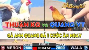 Trận 5 CPC3 11/09/2024 - Gà Anh Quang Vũng Tàu Nạp Đúng 1 Chân