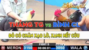 Trận 5 CPC3 13/09/2024 - Anh Thắng Tiền Giang Có Pha Lật Kèo Ngoạn Mục