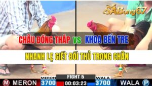 Trận 5 CPC3 28/09/2024 Anh Châu Đồng Tháp Đá Xổ Anh Khoa Bến Tre