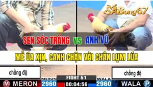 Trận 51 CPC3 28/09/2024 Anh Sen Sóc Trăng Đá Xổ Anh Vũ