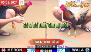 Trận 6 CPC1 05/09/2024 Anh Hào Đá Xổ Anh Danh Vĩnh Lộc