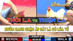 Trận 6 CPC2 15/09/2024 - Gà Anh Thiện Long An Canh Chặn Quá Hay