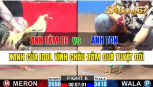 Trận 6 CPC2 29/09/2024 Anh Tâm Be Đá Xổ Anh Ton