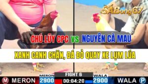 Trận 6 CPC3 28/09/2024 Chú Lũy Cpc Đá Xổ Anh Nguyên Cà Mau