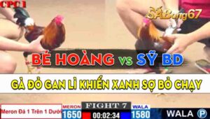 Trận 7 CPC1 02/09/2024 - Gà Anh Bé Hoàng Quá Lì Đòn