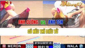 Trận 8 CPC1 24/09/2024 Anh Cường Đá Xổ Anh Ton