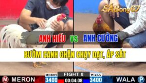 Trận 8 CPC2 25/09/2024 Anh Hiếu Đá Xổ Anh Cường