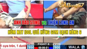 Trận 8 CPC2 27/09/2024 Anh Bảo Sting Đá Xổ Anh Thiện Long An