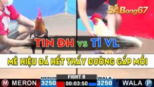 Trận 8 CPC3 19/09/2024 - Gà Bướm Hiệu Của Anh Tí Vĩnh Long Quá Đâm