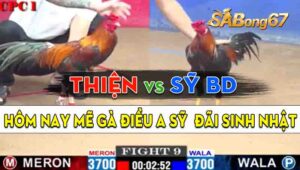 Trận 9 CPC1 02/09/2024 - Gà Anh Thiện Hạ Đẹp Gà Anh Sỹ Bình Dương