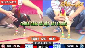 Trận 9 CPC1 05/09/2024 Anh Tư Đá Xổ Anh Huy Trà Sữa