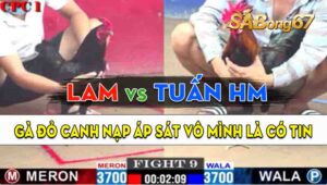 Trận 9 CPC1 07/09/2024 - Gà Anh Lam Đá Canh Chặn Quá Khéo Léo