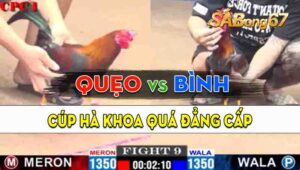 Trận 9 CPC1 09/09/2024 - Gà Anh Bình Chốt Hạ Gà Anh Quẹo