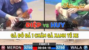 Trận 9 CPC3 02/09/2024 - Gà Anh Huy Đá 1 Chân, Gà Anh Điệp Té Xe