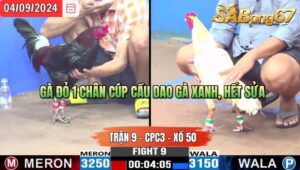 Trận 9 CPC3 04/09/2024 Anh Mây Đá Xổ Anh Cường Bến Tre