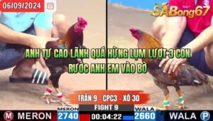 Trận 9 CPC3 06/09/2024 Anh Vinh M.Hạnh Đá Xổ Anh Tư Cao Lãnh