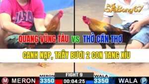 Trận 9 CPC3 25/09/2024 Anh Quang VT Đá Xổ Anh Thở CT