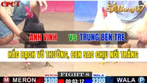 Trận 8 CPC1 10/10/2024 Anh Vinh Đá Xổ Anh Trung Bến Tre