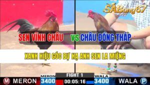 TRẬN 1 CPC3 25/10/2024: ANH SEN VĨNH CHÂU VÀ ANH CHÂU ĐỒNG THÁP