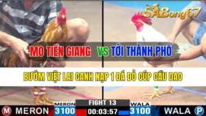 TRẬN 13 CPC3 24/10/2024: ANH MO TIỀN GIANG VÀ ANH TỚI THÀNH PHỐ