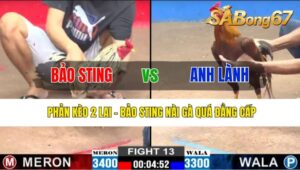 Trận 13 CPC2 25/10/2024: ANH BẢO STING ĐỤNG ĐỘ ANH LÀNH