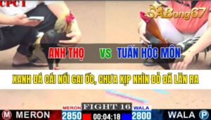 TRẬN 16 CPC1 24/10/2024: ANH THỌ VÀ ANH TUẤN HÓC MÔN