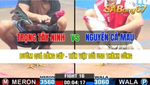 TRẬN 16 CPC3 25/10/2024: ANH TRỌNG TÂY NINH VÀ ANH NGUYÊN CÀ MAU