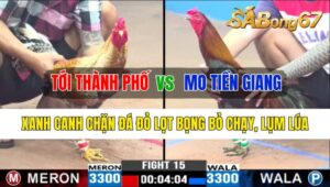 TRẬN 17 COC3 24/10/2024: ANH TỚI THÀNH PHỐ VÀ ANH MO TIỀN GIANG