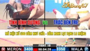 TRẬN 18 CPC3 25/10/2024: ANH TÌNH BÌNH DƯƠNG VÀ ANH TRẮC BẾN TRE