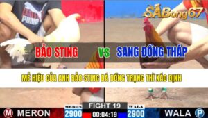 TRẬN 19 CPC2 25/10/2024: ANH BẢO STING VÀ ANH SANG ĐỒNG THÁP