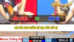 TRẬN 23 CPC2 25/10/2024: ANH BẢO STING ĐÁ VỚI ANH DỰ